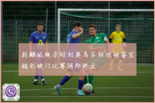 新鹏城绝杀时刻奥乌苏助攻胡睿宝精彩破门比赛随即终止