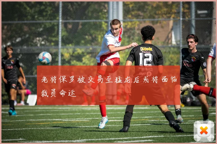 老将保罗被交易至猛龙后或将面临裁员命运
