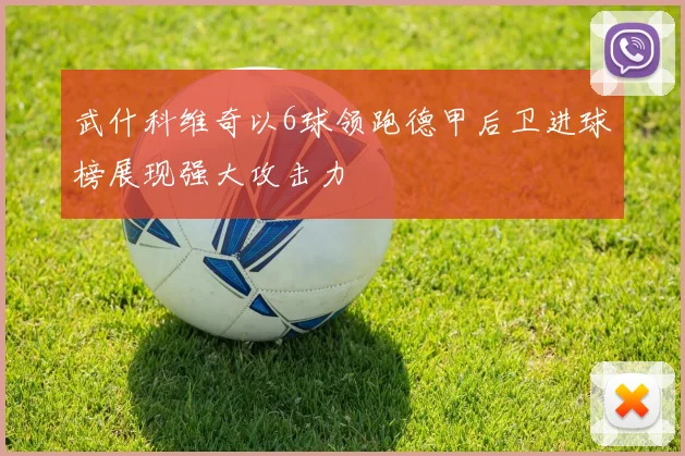 武什科维奇以6球领跑德甲后卫进球榜展现强大攻击力