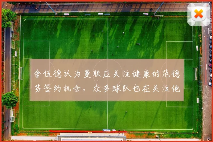 舍伍德认为曼联应关注健康的范德芬签约机会，众多球队也在关注他